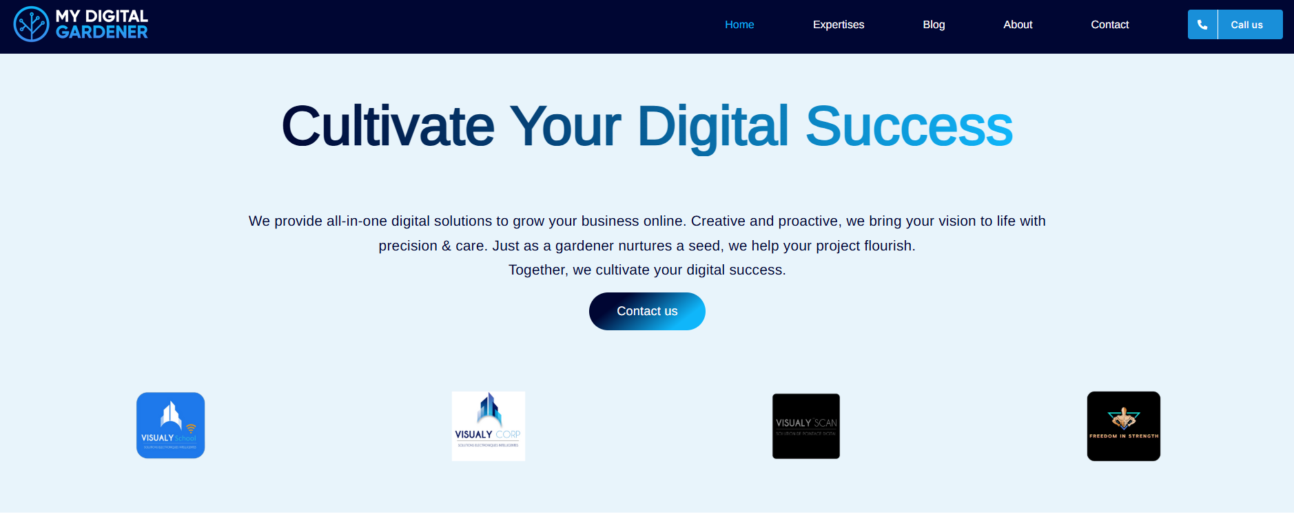 WordPress Websites